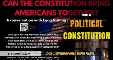 Understanding the Political Constitution: Framework, Functions, and Significance