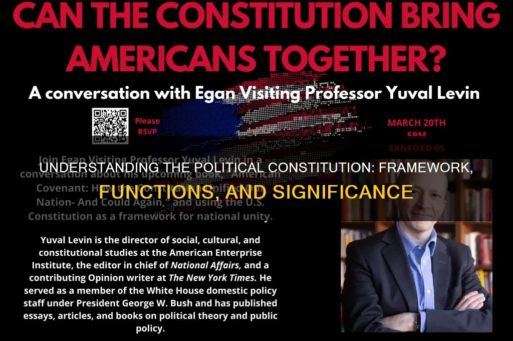 what is political constitution