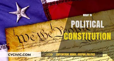 Understanding Political Constitutionalism: Foundations, Principles, and Modern Implications