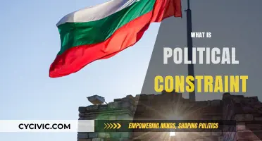 Understanding Political Constraints: Limits, Impacts, and Real-World Implications