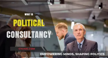 Understanding Political Consultancy: Strategies, Influence, and Campaign Success