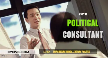 Understanding the Role of a Political Consultant in Modern Campaigns