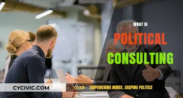 Understanding Political Consulting: Strategies, Influence, and Campaign Success