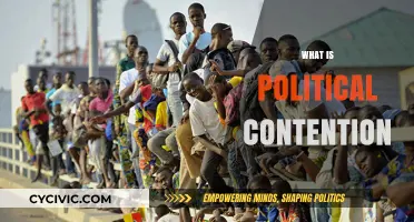 Understanding Political Contention: Causes, Dynamics, and Societal Impact Explained