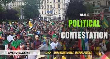 Understanding Political Contestation: Power Struggles, Ideologies, and Democratic Debates