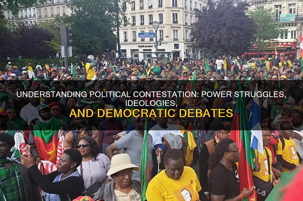 what is political contestation