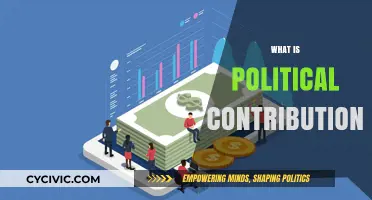 Understanding Political Contributions: Funding, Influence, and Democracy Explained