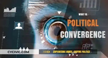 Understanding Political Convergence: How Ideologies Merge in Modern Politics