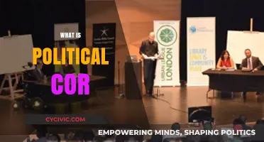 Understanding Political Correctness: Origins, Impact, and Modern Debates