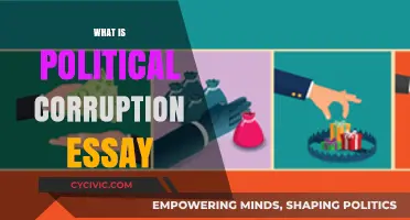 Understanding Political Corruption: Causes, Consequences, and Global Impact