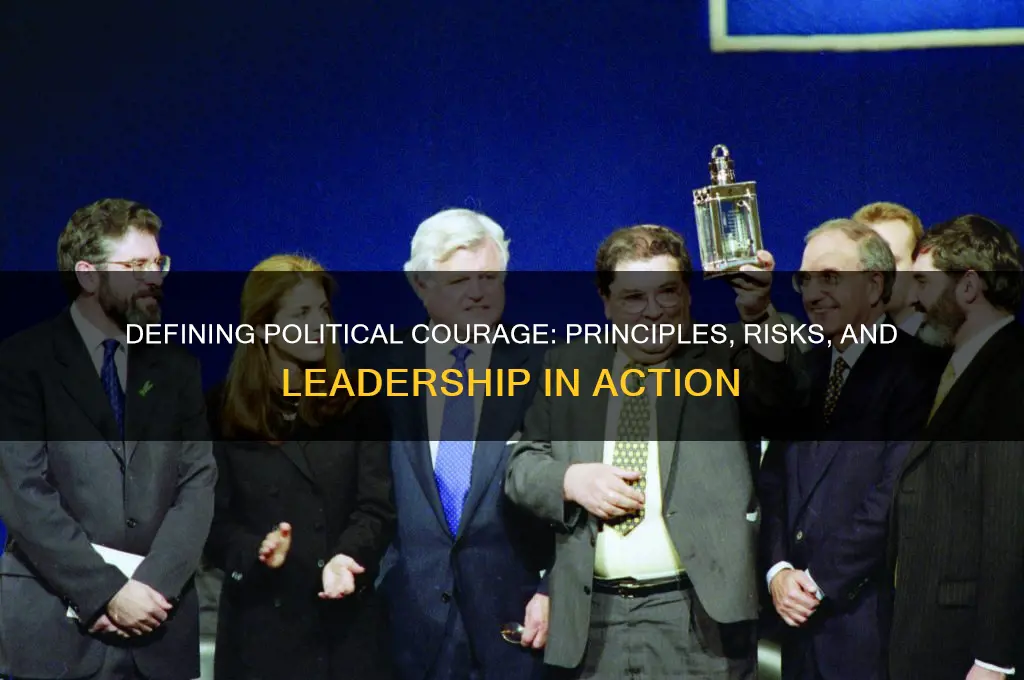 what is political courage