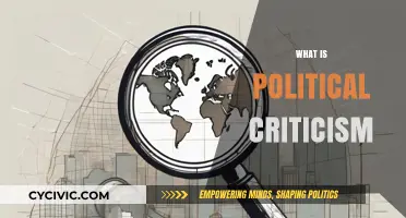 Understanding Political Criticism: Analyzing Power, Policies, and Public Discourse