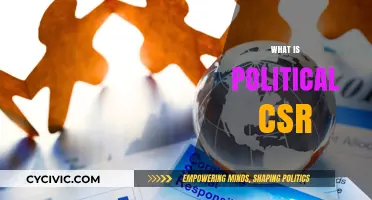 Understanding Political CSR: Corporate Responsibility in the Political Arena