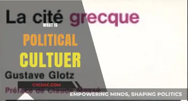 Understanding Political Culture: Shaping Societies, Beliefs, and Governance Dynamics