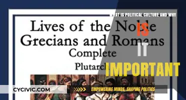Exploring Political Culture: Foundations, Impact, and Significance