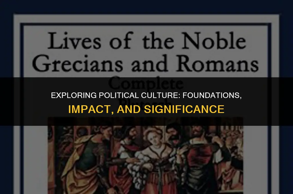 what is political culture and why is it important