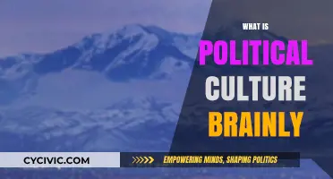Understanding Political Culture: Brainly Insights and Key Concepts Explained