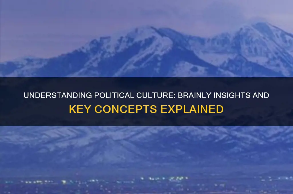what is political culture brainly