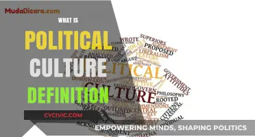 Understanding Political Culture: Definition, Importance, and Global Influences Explained