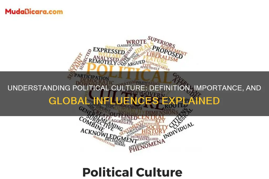 what is political culture definition