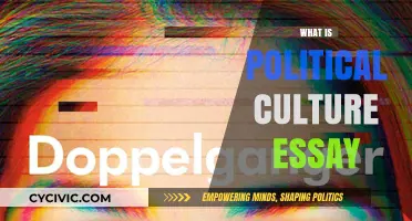 Understanding Political Culture: A Comprehensive Essay Guide
