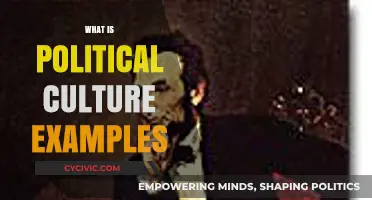 Understanding Political Culture: Examples and Impact on Society