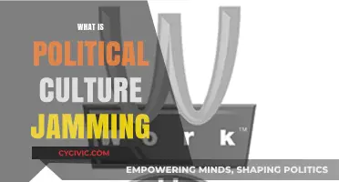 Unveiling Political Culture Jamming: Tactics, Impact, and Social Change