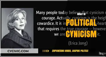 Understanding Political Cynicism: Causes, Effects, and Societal Implications