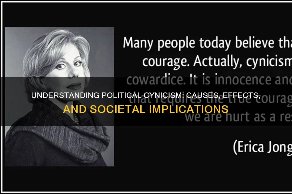 what is political cynicism