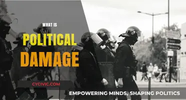 Understanding Political Damage: Causes, Consequences, and Real-World Implications