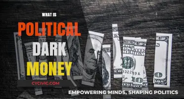 Unveiling Political Dark Money: Hidden Influence in Modern Campaigns