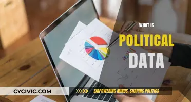Understanding Political Data: Insights, Analysis, and Real-World Applications
