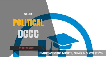 Understanding the Role and Impact of the Political DCCC