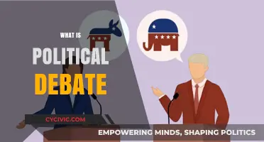 Understanding Political Debate: Purpose, Structure, and Impact on Democracy