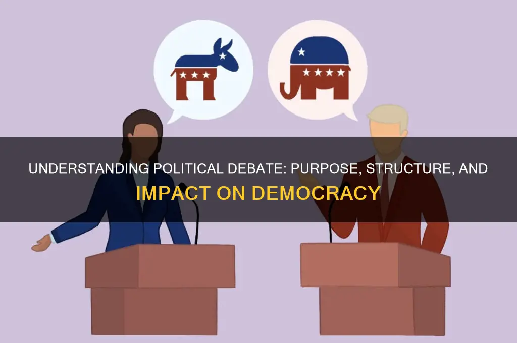 what is political debate