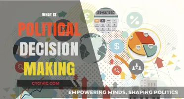 Understanding Political Decision Making: Processes, Influences, and Outcomes