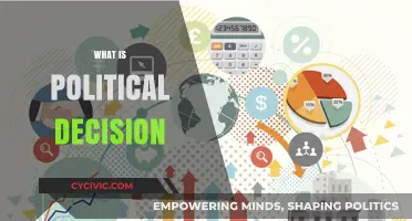 Understanding Political Decisions: Power, Process, and Public Impact Explained