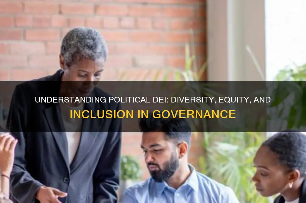 what is political dei