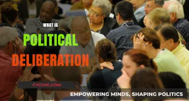 Understanding Political Deliberation: Enhancing Democracy Through Thoughtful Dialogue