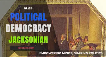 Understanding Jacksonian Democracy: A Defining Era in American Political History