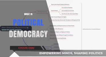 Understanding Political Democracy: Principles, Practices, and Global Impact Explained