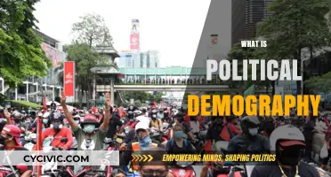 Understanding Political Demography: Population Dynamics and Their Political Impact