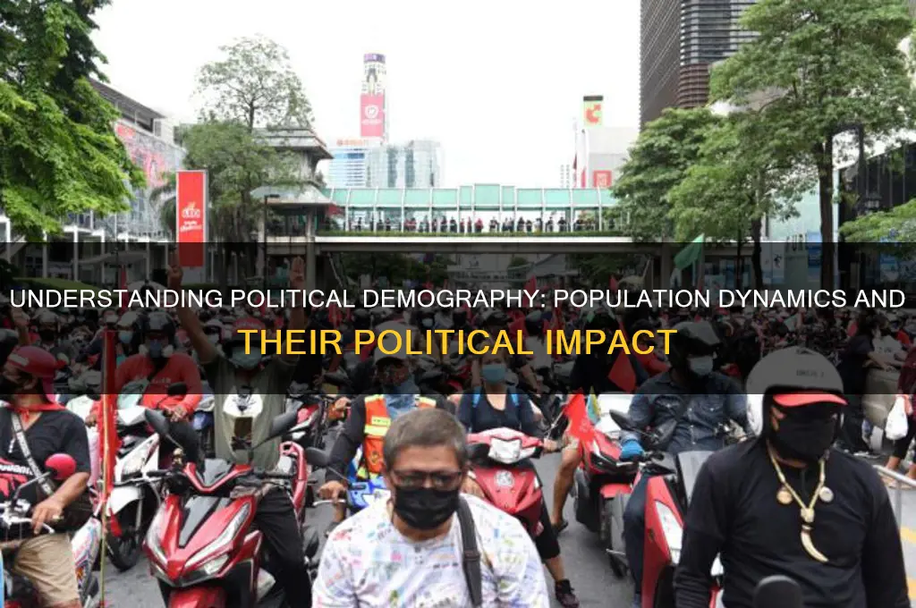 what is political demography