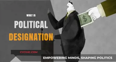 Understanding Political Designation: Roles, Impact, and Significance in Governance