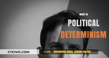 Understanding Political Determinism: Shaping Societies Through Power and Ideology