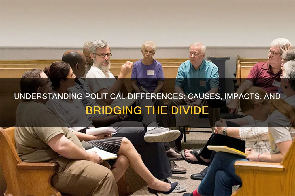 what is political differences