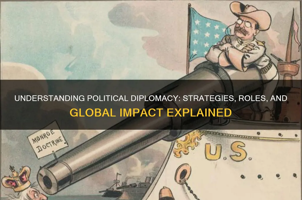 what is political diplomacy