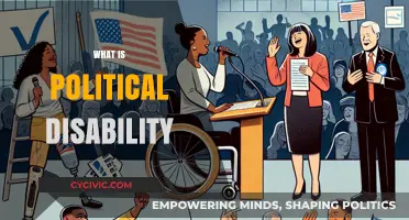 Understanding Political Disability: Causes, Impact, and Representation in Governance