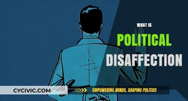 Understanding Political Disaffection: Causes, Consequences, and Civic Engagement Decline