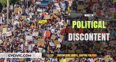 Understanding Political Discontent: Causes, Effects, and Societal Implications